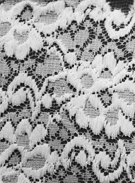 Nylon Fabrics