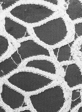 Nylon Fabrics