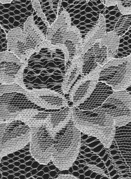 Nylon Fabrics