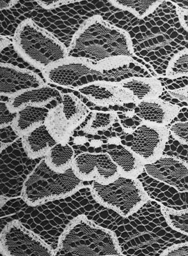 Nylon Fabrics